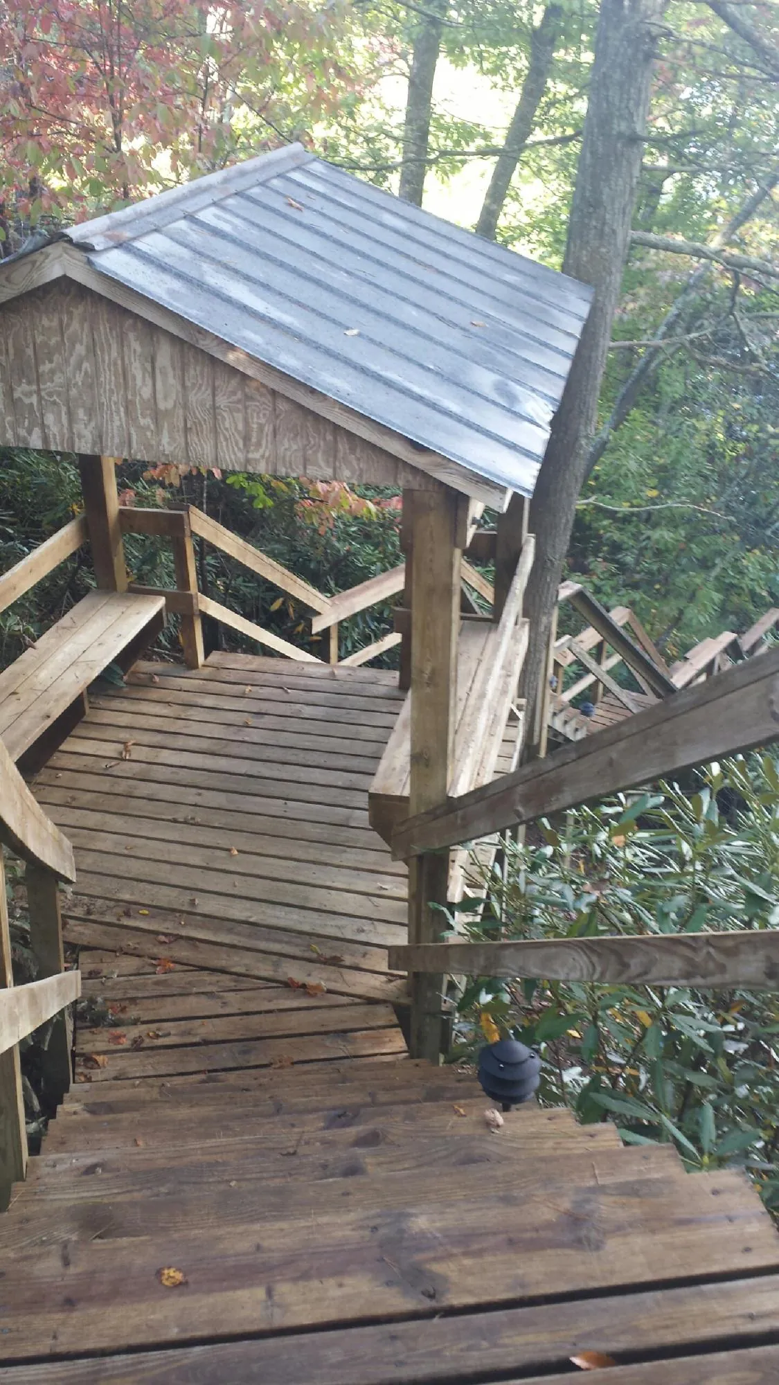 Metal roofed shelter over wooden steps on a wooded walkway — Skylight Repair & Installation work by our crew in Port Richey